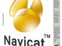 Navicat Premium Full Crack with Keygen Download