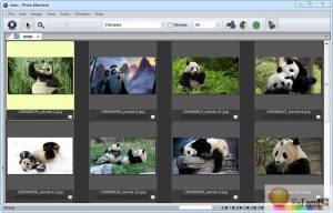 Photo Mechanic Crack With Serial Key Download